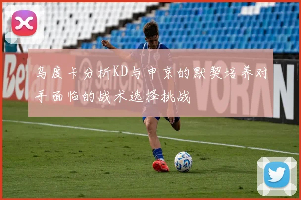 乌度卡分析KD与申京的默契培养对手面临的战术选择挑战